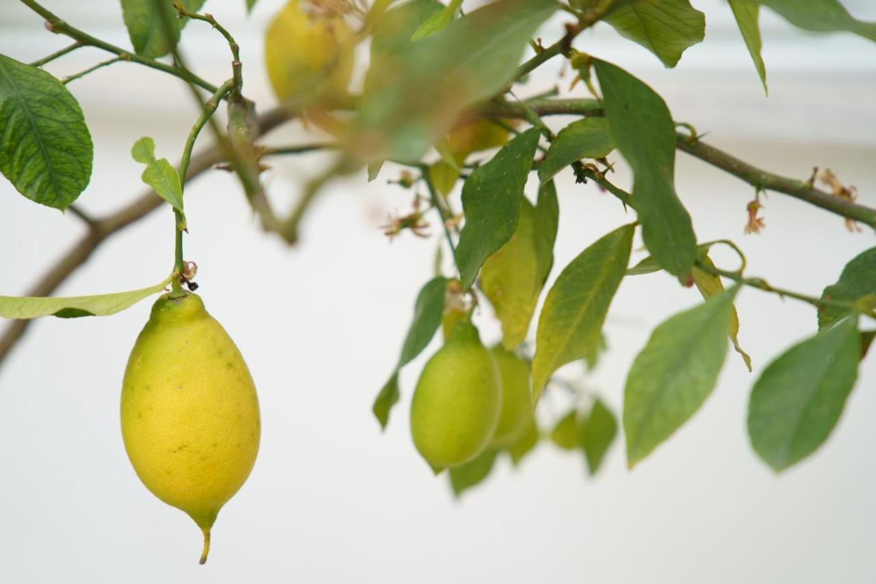 Lemon Tree Hotel Parga Esterno foto